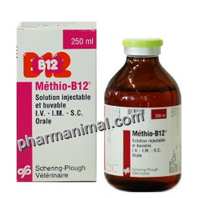 METHIO B12  FL/250 ML  lot de 6  **